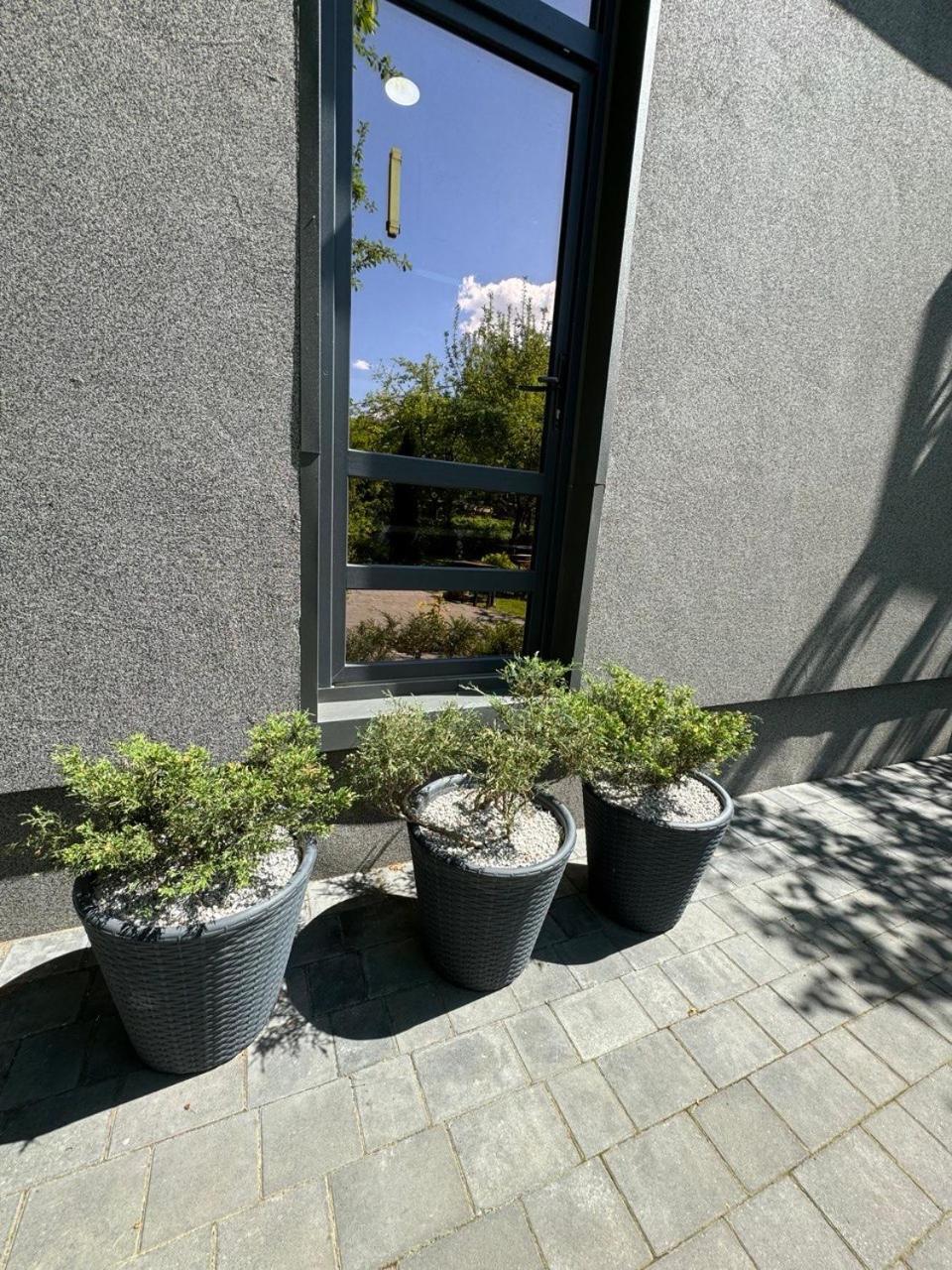 Villa Girske Povitria 2 Jaremtsche Exterior foto