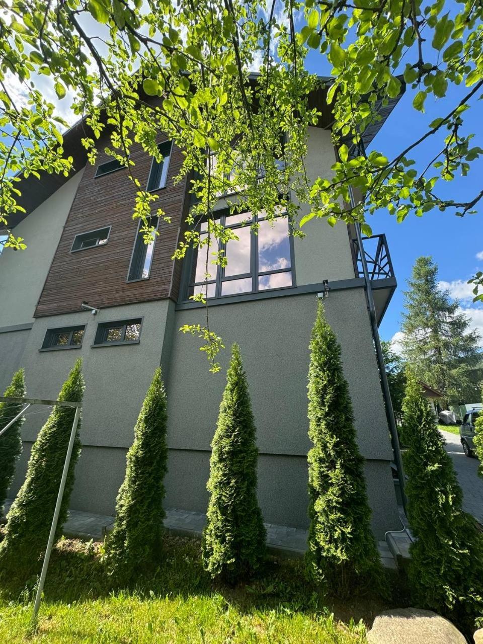 Villa Girske Povitria 2 Jaremtsche Exterior foto